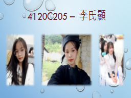 4120C205 – 李氏顯
