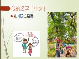我的名字 (中文)